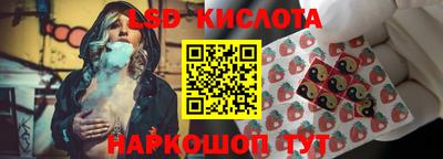 стаф Славгород